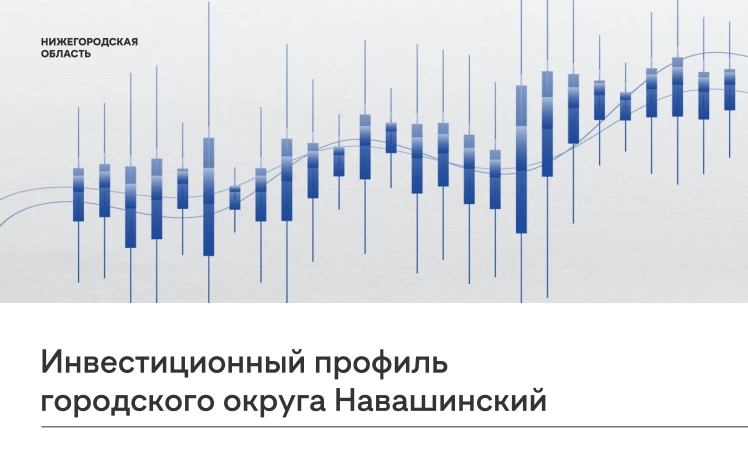 В Нижегородской области актуализировали инвестиционные профили муниципалитетов